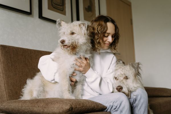 Why Are Pet Ownership Trends Changing in the UK?